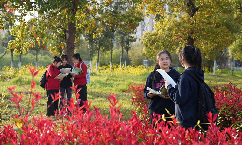 校园读书一角.jpg 校园读书一角.jpg